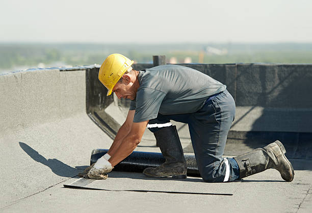 Best Eco-Friendly Insulation in Bangor Base, WA